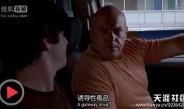 毒师在线观看,揭秘毒品世界的惊心动魄